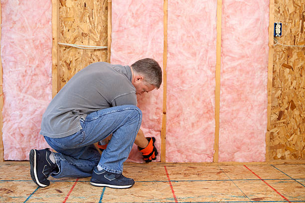 Best Attic Insulation Installation  in Lake Leann, MI