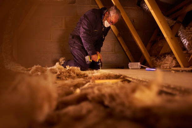 Best Commercial Insulation Contractor  in Lake Leann, MI