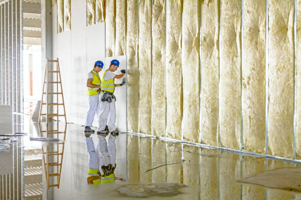 Professional Insulation Contractor in Lake Leann, MI